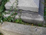 image of grave number 94147